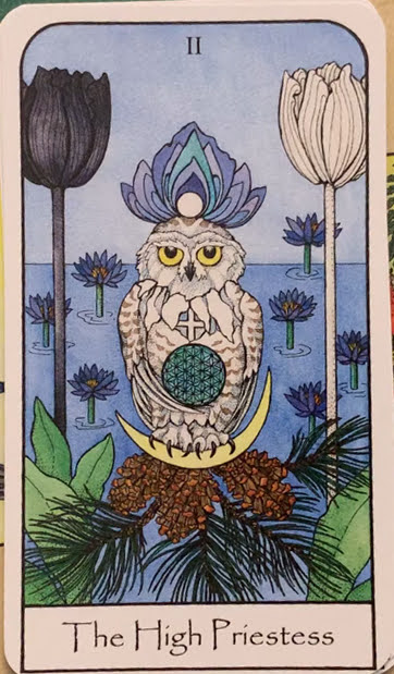 Nature Spirit Tarot